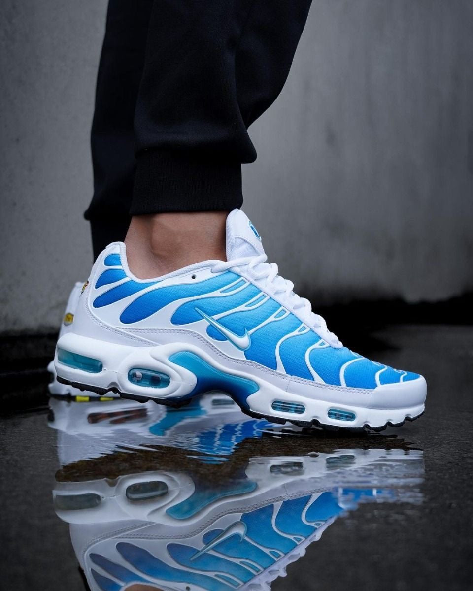 Nike air max plus